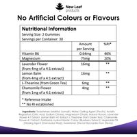 New Leaf Night Time Gummies